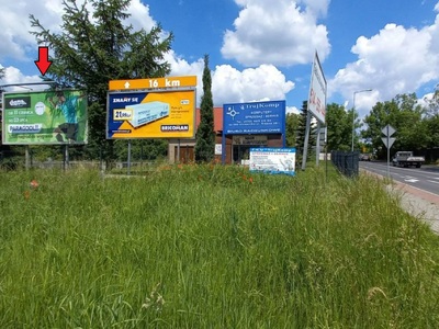 Billboard