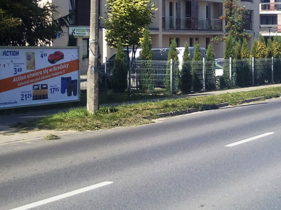 Billboard