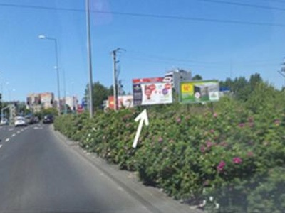 Billboard