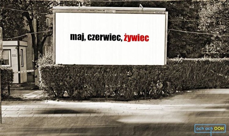 maj czerwiec zywiec