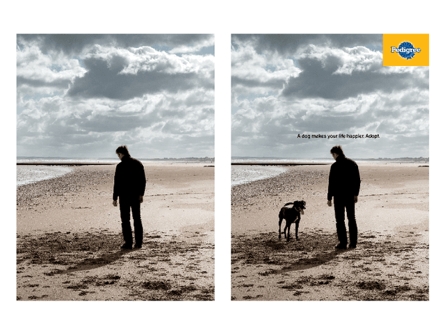 pedigree1