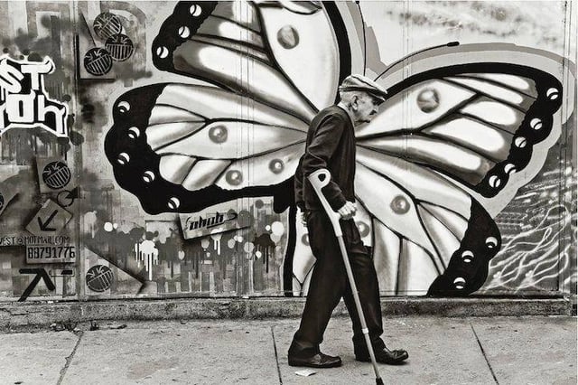 motyl