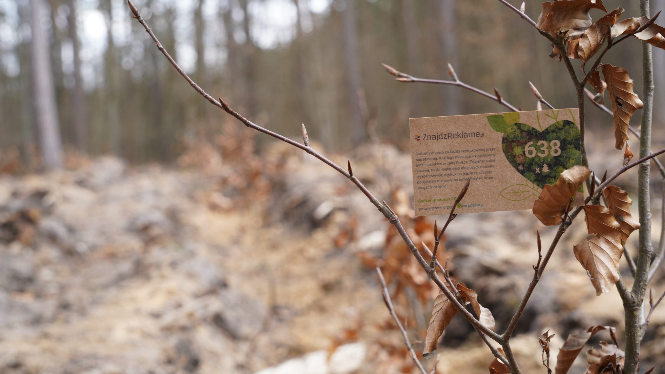 Jak ZnajdźReklamę.pl sadzi drzewa ze swoimi Klientami