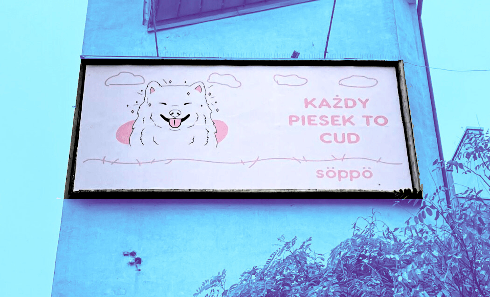 Zaangażuj swoich odbiorców z kreatywną kampanią teaserową