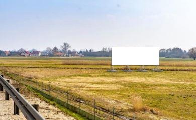 Billboard