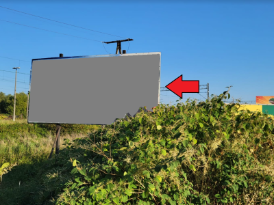 Billboard